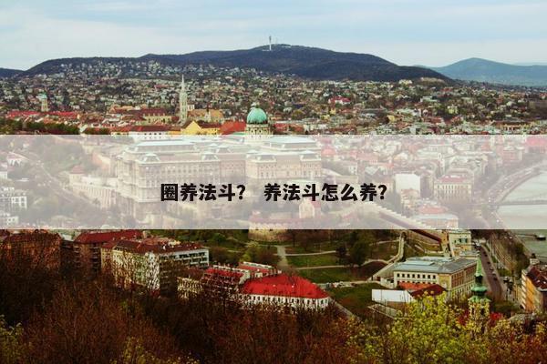 圈养法斗？ 养法斗怎么养？