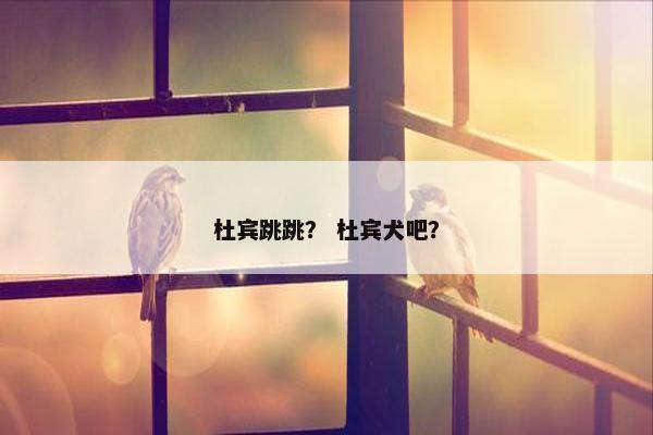 杜宾跳跳？ 杜宾犬吧？