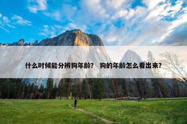 什么时候能分辨狗年龄？ 狗的年龄怎么看出来？
