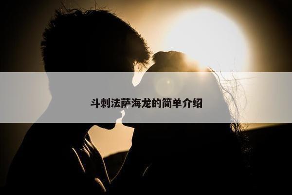 斗刺法萨海龙的简单介绍