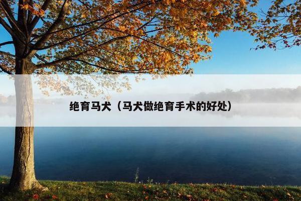 绝育马犬（马犬做绝育手术的好处）