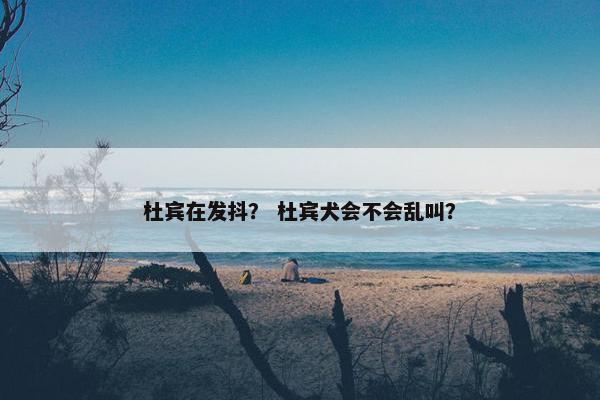 杜宾在发抖？ 杜宾犬会不会乱叫？