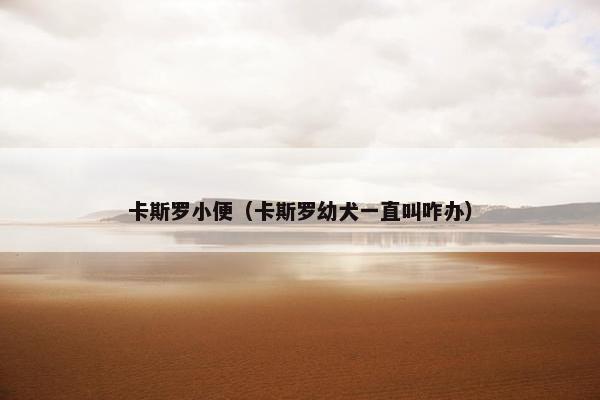 卡斯罗小便（卡斯罗幼犬一直叫咋办）