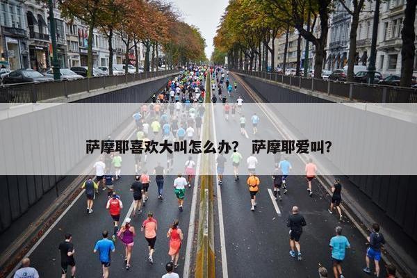 萨摩耶喜欢大叫怎么办？ 萨摩耶爱叫？