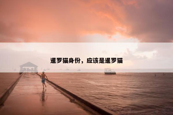 暹罗猫身份，应该是暹罗猫
