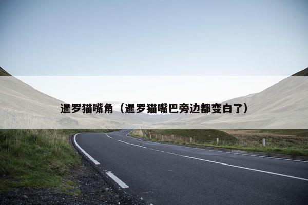 暹罗猫嘴角（暹罗猫嘴巴旁边都变白了）