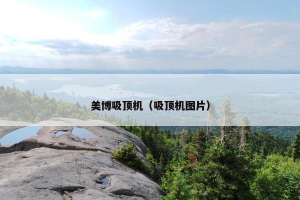 美博吸顶机（吸顶机图片）