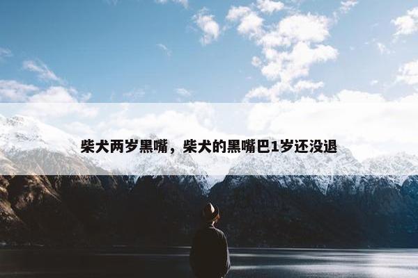柴犬两岁黑嘴，柴犬的黑嘴巴1岁还没退