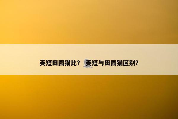 英短田园猫比？ 英短与田园猫区别？