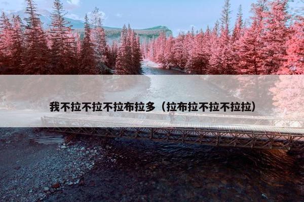 我不拉不拉不拉布拉多（拉布拉不拉不拉拉）