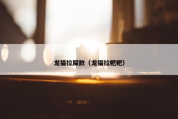 龙猫拉屎散（龙猫拉粑粑）