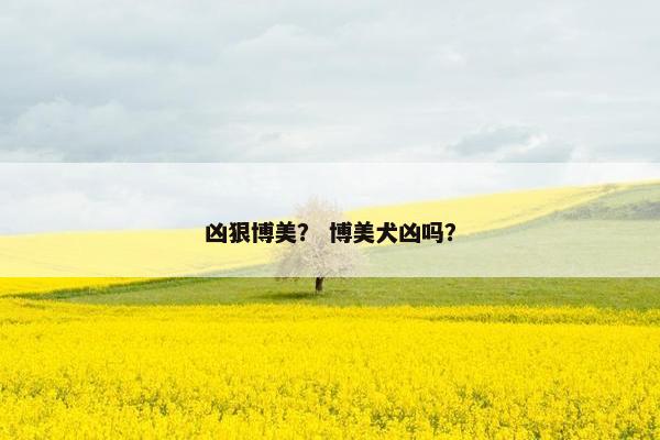 凶狠博美？ 博美犬凶吗？