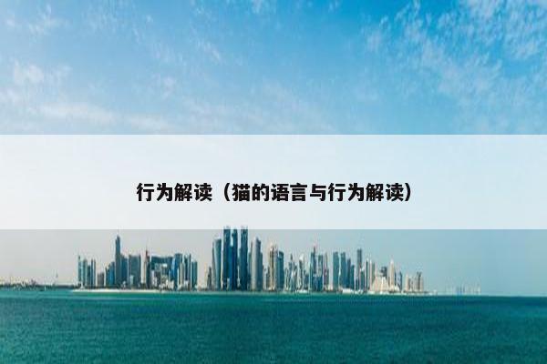 行为解读（猫的语言与行为解读）