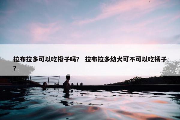 拉布拉多可以吃橙子吗？ 拉布拉多幼犬可不可以吃橘子？