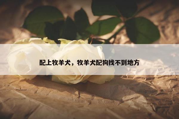 配上牧羊犬，牧羊犬配狗找不到地方