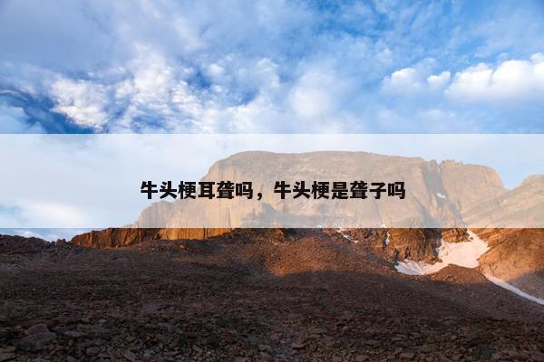 牛头梗耳聋吗，牛头梗是聋子吗