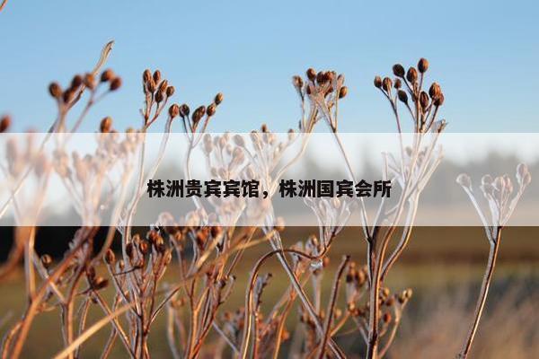 株洲贵宾宾馆，株洲国宾会所