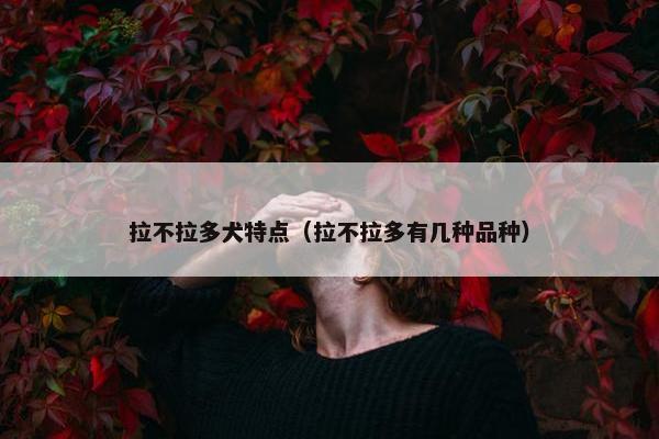 拉不拉多犬特点（拉不拉多有几种品种）