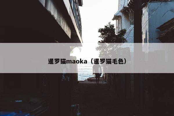 暹罗猫maoka（暹罗猫毛色）