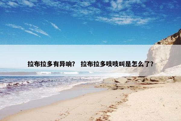 拉布拉多有异响？ 拉布拉多吱吱叫是怎么了？