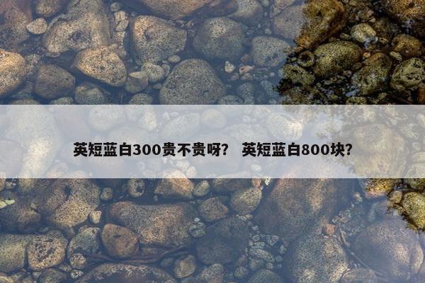 英短蓝白300贵不贵呀？ 英短蓝白800块？
