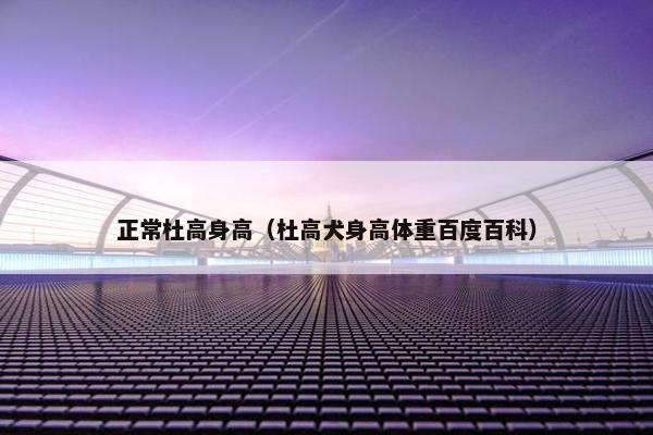 正常杜高身高（杜高犬身高体重百度百科）