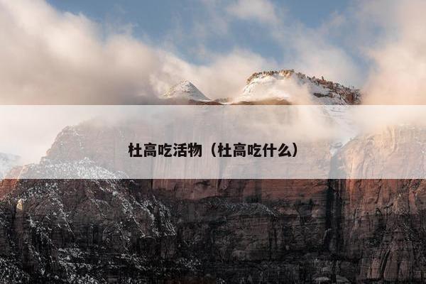 杜高吃活物（杜高吃什么）
