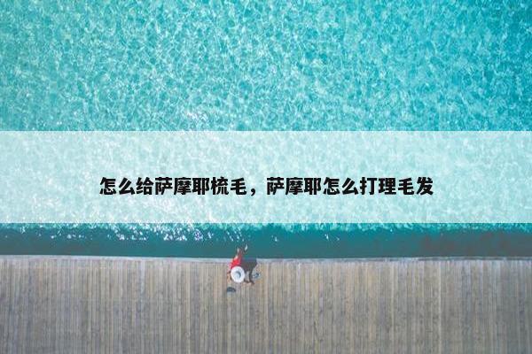 怎么给萨摩耶梳毛，萨摩耶怎么打理毛发