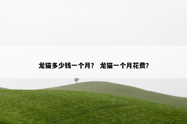 龙猫多少钱一个月？ 龙猫一个月花费？
