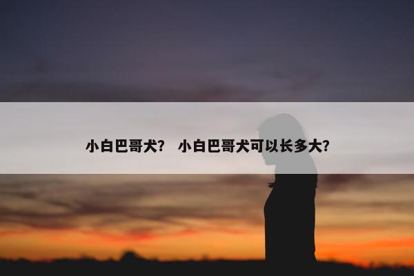 小白巴哥犬？ 小白巴哥犬可以长多大？