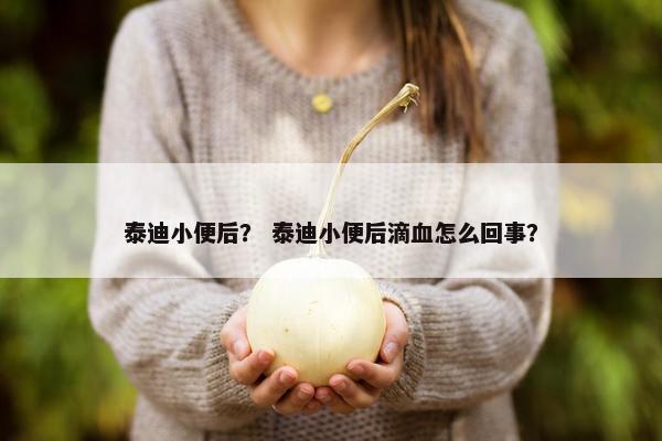 泰迪小便后？ 泰迪小便后滴血怎么回事？