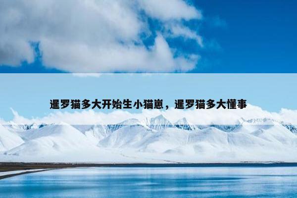 暹罗猫多大开始生小猫崽，暹罗猫多大懂事