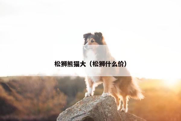 松狮熊猫大（松狮什么价）