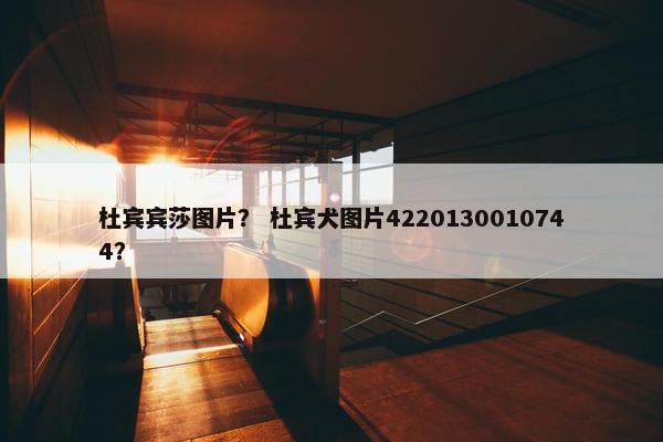 杜宾宾莎图片？ 杜宾犬图片4220130010744？