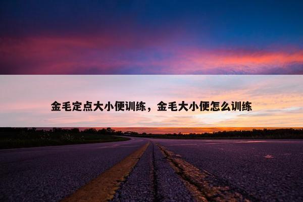 金毛定点大小便训练，金毛大小便怎么训练
