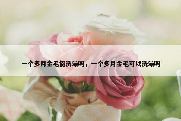 一个多月金毛能洗澡吗，一个多月金毛可以洗澡吗