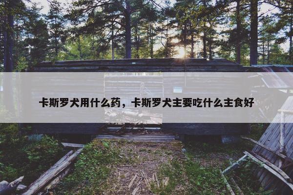 卡斯罗犬用什么药，卡斯罗犬主要吃什么主食好