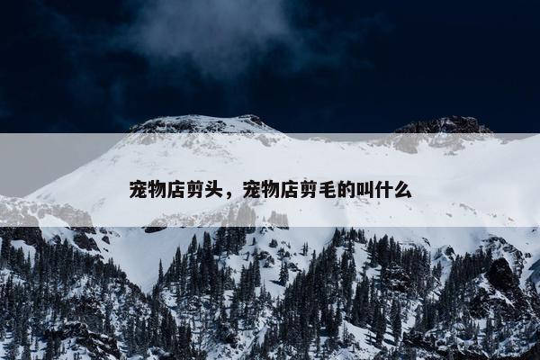 宠物店剪头，宠物店剪毛的叫什么