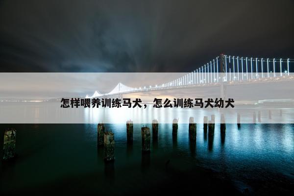 怎样喂养训练马犬，怎么训练马犬幼犬