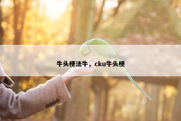 牛头梗法牛，cku牛头梗