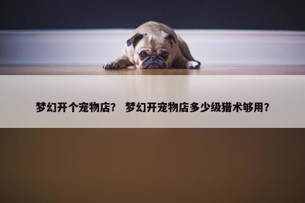 梦幻开个宠物店？ 梦幻开宠物店多少级猎术够用？