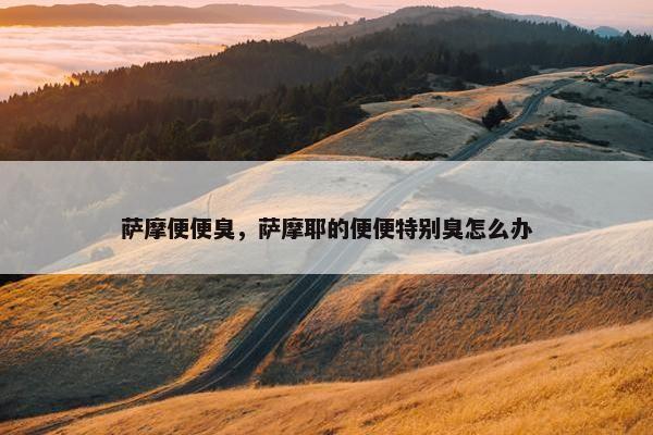 萨摩便便臭，萨摩耶的便便特别臭怎么办