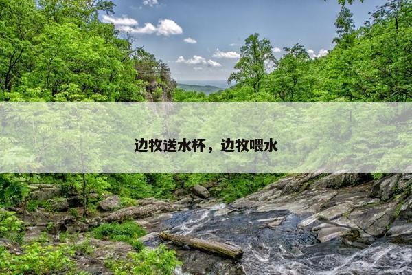 边牧送水杯，边牧喂水