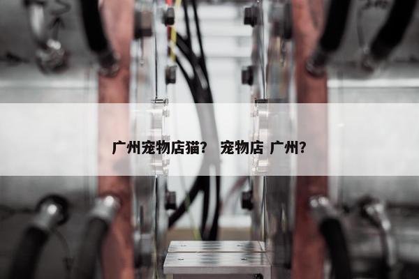 广州宠物店猫？ 宠物店 广州？