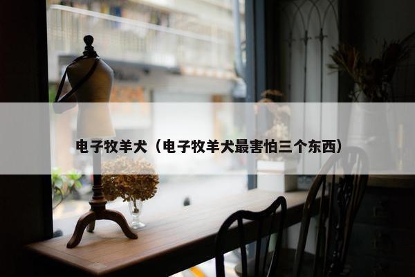 电子牧羊犬（电子牧羊犬最害怕三个东西）