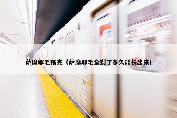 萨摩耶毛推完（萨摩耶毛全剃了多久能长出来）