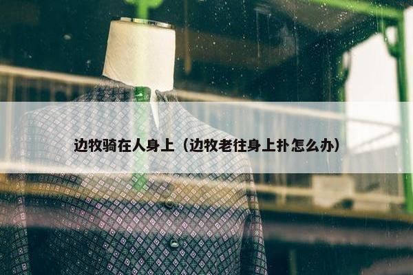 边牧骑在人身上（边牧老往身上扑怎么办）