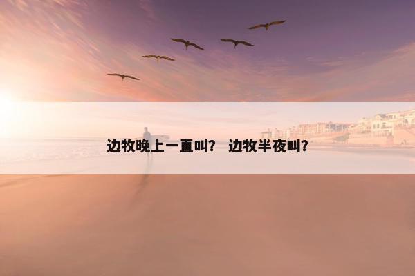 边牧晚上一直叫？ 边牧半夜叫？