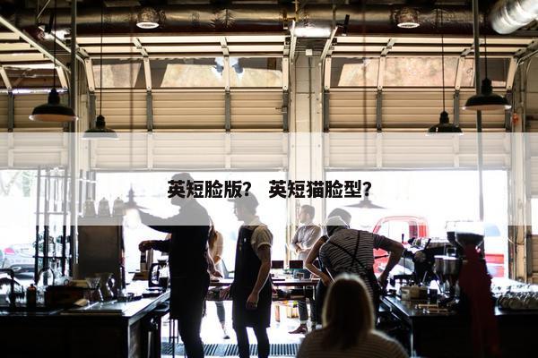 英短脸版？ 英短猫脸型？