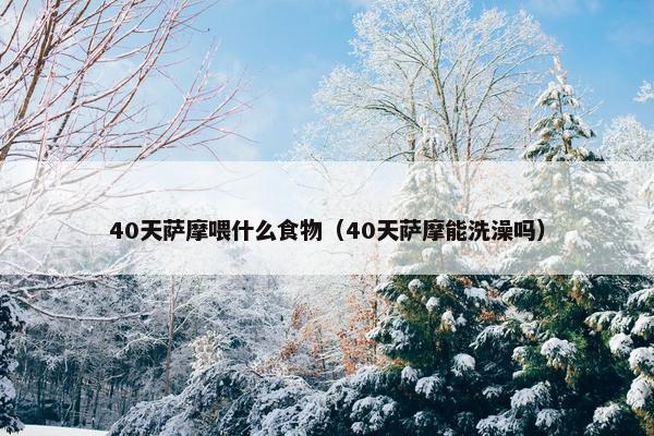 40天萨摩喂什么食物（40天萨摩能洗澡吗）